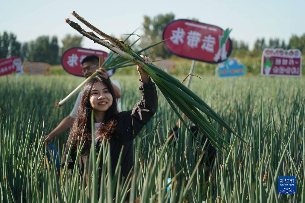 皇城国际的网站是多少